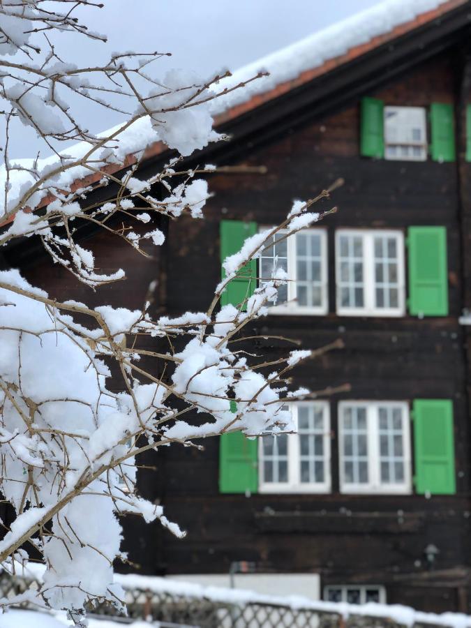 Chalet Pironnet With Best Views, Charm And Comfort! Apartment Lauterbrunnen Exterior photo